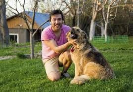 Menjinakkan Anjing