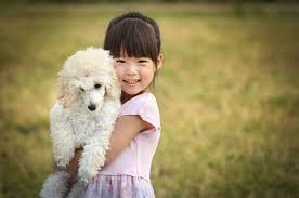 anjing ramah anak